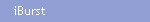 iBurst